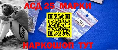 прущие грибы Краснознаменск