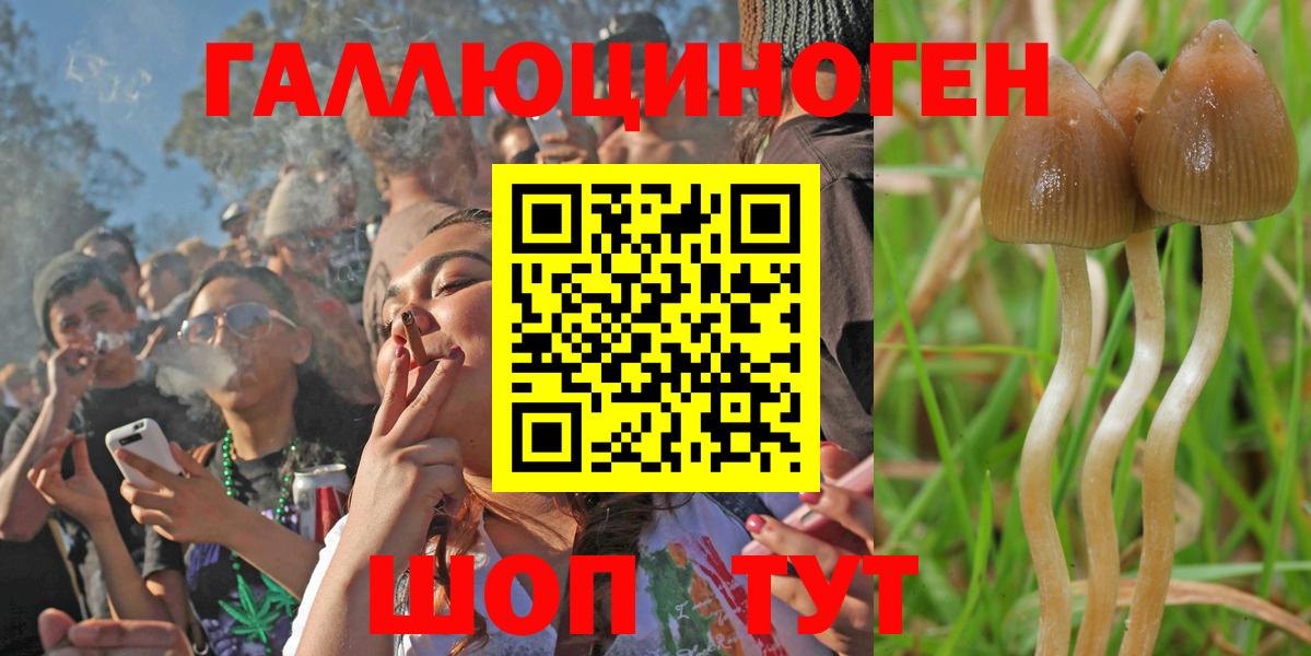 Сибай  Галлюциногенные грибы GOLDEN TEACHER  Вход с VPN 