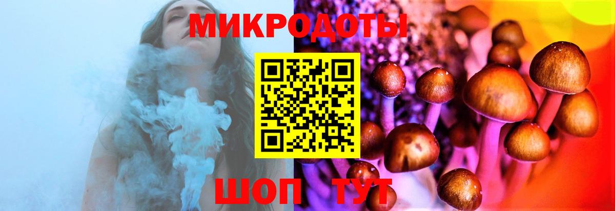 Галлюциногенные грибы прущие грибы Сибай